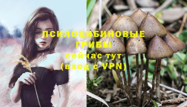 таблы Алексин