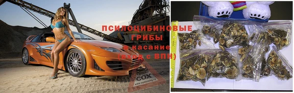 спиды Алзамай