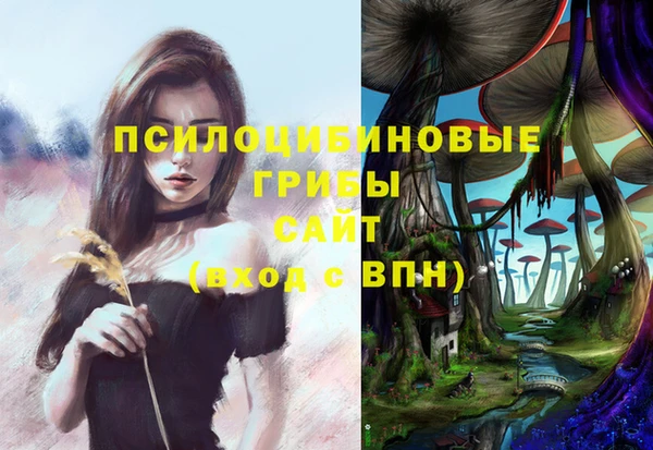 таблы Алексин